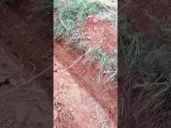 0.6 Ton 0.8 Ton Mini Crawler Excavator Küçük Mikro Kazıcı